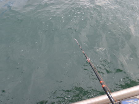東京湾でのエギタコの釣り方